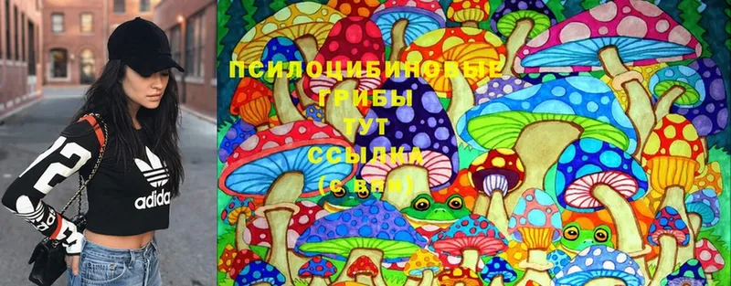 Галлюциногенные грибы Psilocybine cubensis  Туран 